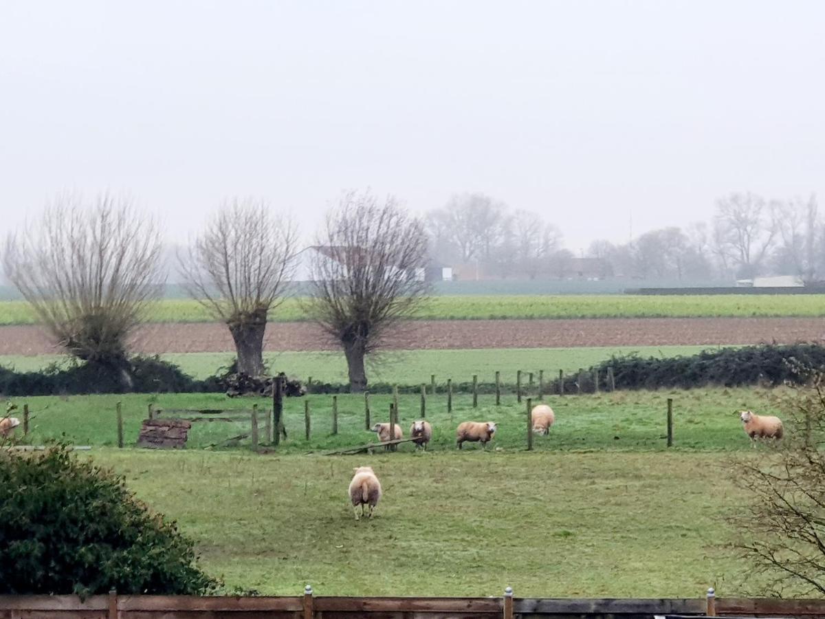 Luppolo Vakantiehuis Westhoek Alveringem Экстерьер фото